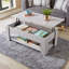 Alrun Coffee Table with Storage-569580564