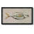 " Fresh Fish Study I "-1048550018