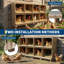 Chicken Coop
