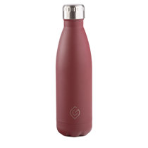 https://assets.wfcdn.com/im/22391151/resize-h210-w210%5Ecompr-r85/1969/196991858/Coast+Insulated+Water+Bottle.jpg