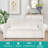 Luxurious Soft Velvet High Stretch Fitted Furniture Protector Box Cushion Non Slip for Large Sofa Slipcover Machine Washable-1337239548-1337239551