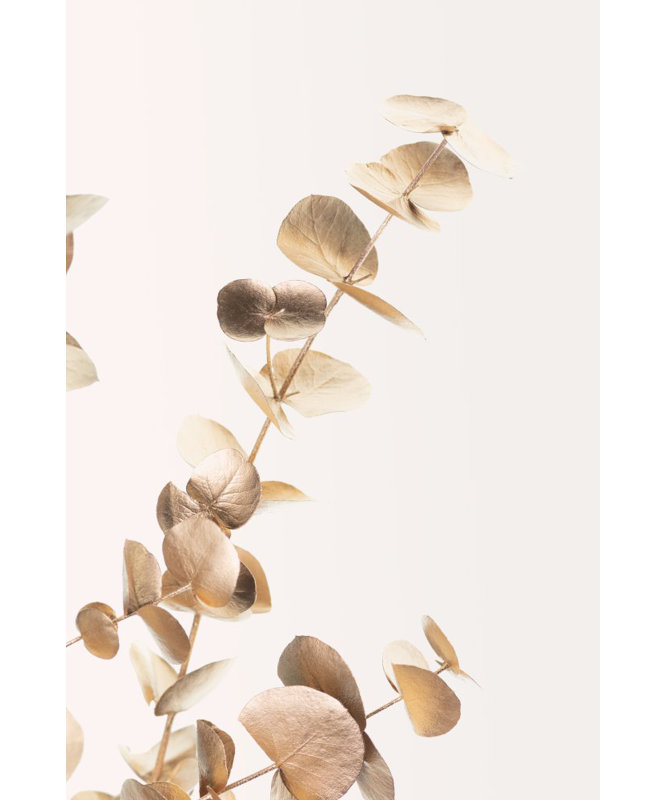Wrapped Canvas Print, 91.44 cm H x 60.96 cm W