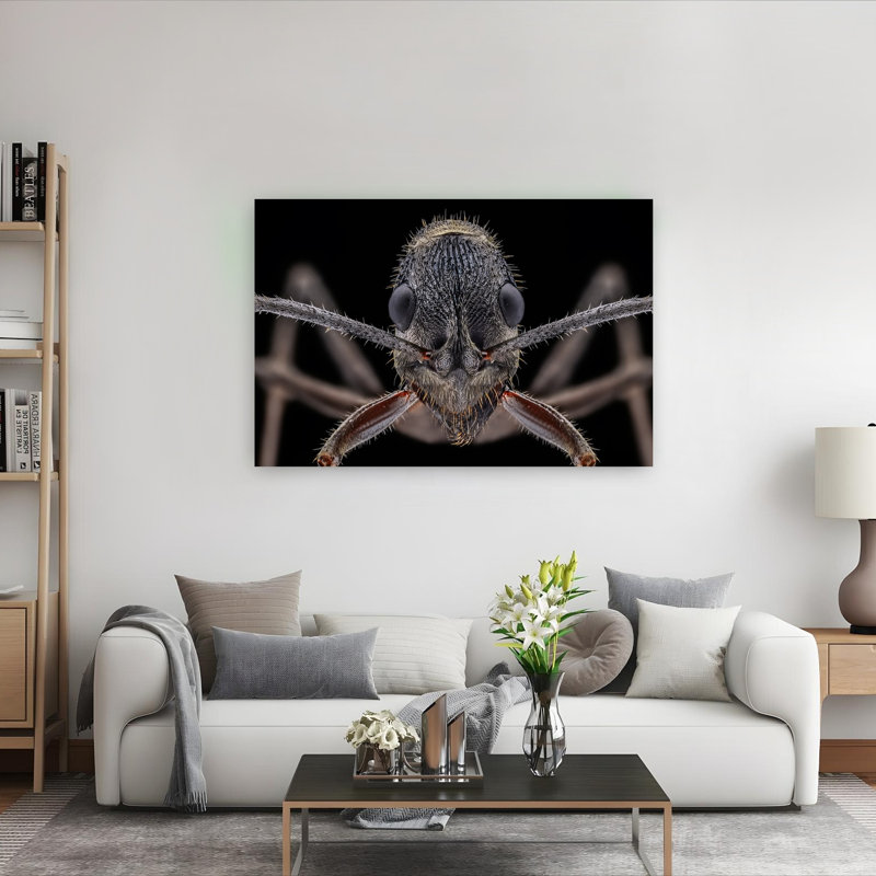 Macro Ant Portrait Contemporary Ant Wall Art Print 1 Piece Wrapped Canvas Wall Art, 101.6cm H x 152.4cm W