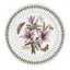 Botanic Garden 20 Piece Dinnerware Set