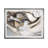 " Horse Abstraction II "-1150399459-1150298433