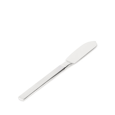 Dry 18/10 Stainless Steel Fish Knife