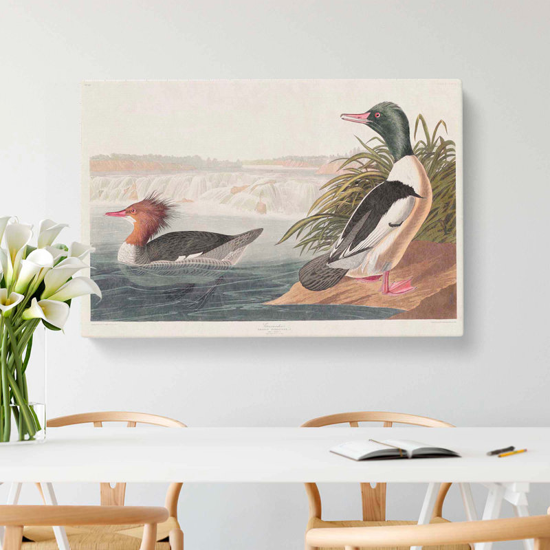 Goosander Ducks - Wrapped Canvas Painting, 35cm H x 50cm W x 3cm D