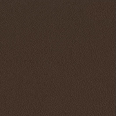 Elan Sable Sample