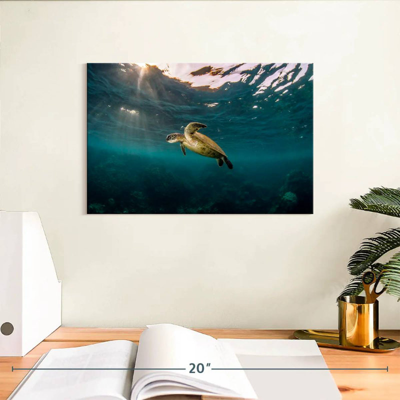 Ningaloo Reef Sea Turtle, 8" H x 12" W