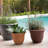 Traditional Self-Watering Plastic Indoor/Outdoor Pot Planter-1921265549-1921265536