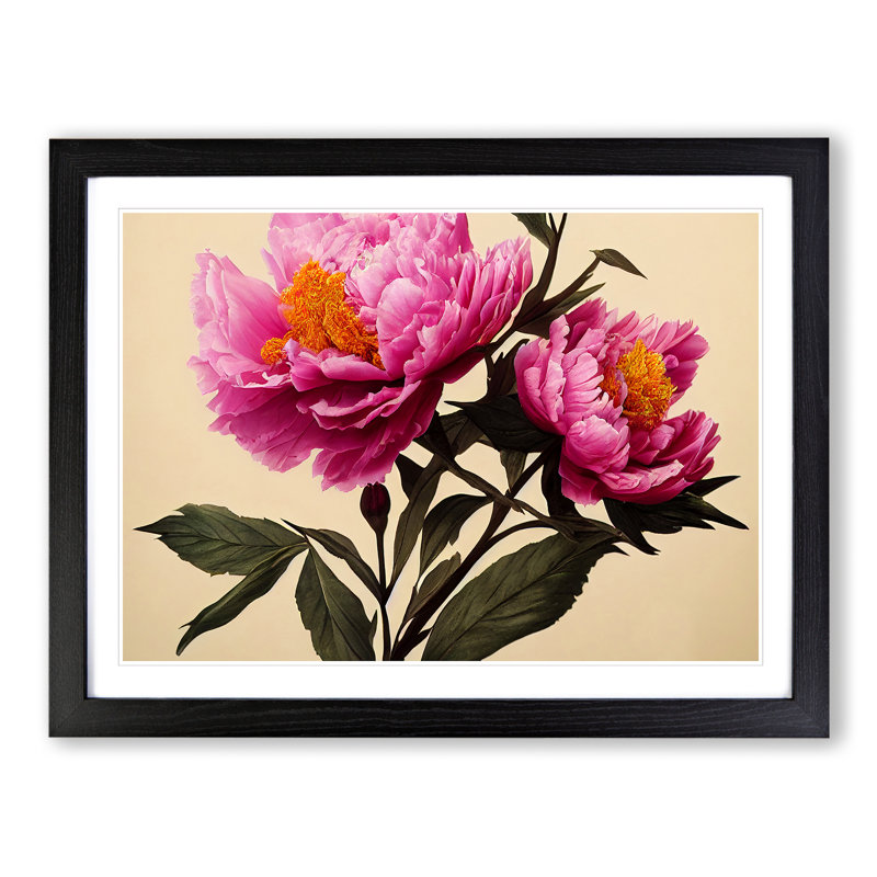 Adorable Peony Flowers - Single Picture Frame Painting, Black Framed, 46cm H x 64cm W x 2cm D