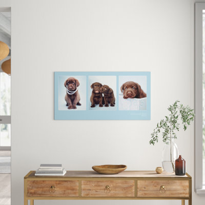 Rachael Hale - No Frame Print