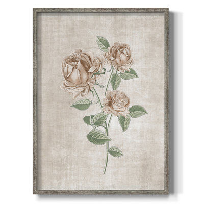 Blush Rose Botanical II, reproduction encadrée - bois massif 49793