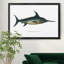 «Common Sword Fish», impression sur toile encadrée-791251561-791251554