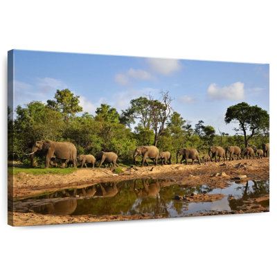 Brampt Kruger Park Elephants