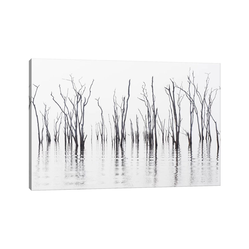 Africa, Zimbabwe, Matusadona National Park by Jaynes Gallery - Wrapped Canvas Print, 30.48cm H x 45.72cm W x 1.905cm D