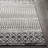 Lashavia Machine Woven Ivory/Dark Charcoal Area Rug-997038856