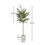 157cm Plant