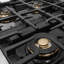ZLINE 30 in. Classic Gas Range with DuoPro Cooktop and Convection Oven in Black Stainless Steel-857920602-857920600