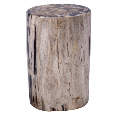 Fossil Relics End Table