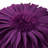 Appliqued Throw Pillow 3D Sunflower Accent Pillow Cover & Insert-1631926978-1633543311