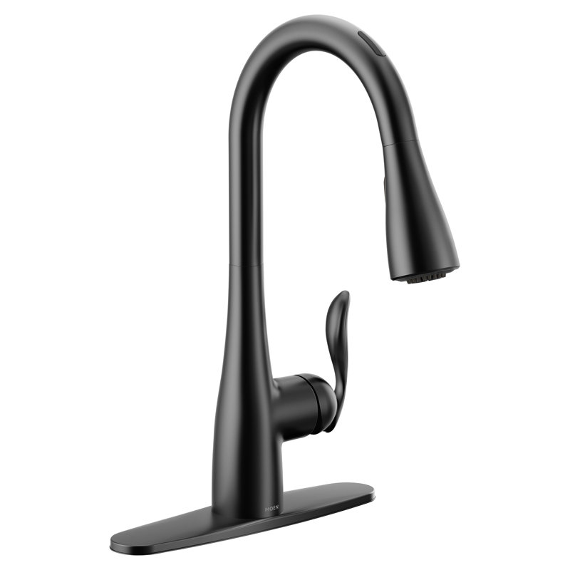 Arbor Single Handle Kitchen Faucet, Matte Black