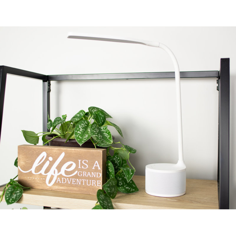 Deann USB Desk Lamp