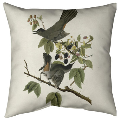 Cat Bird Throw Pillow