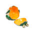 Hand Painted Enameled Frog Style Decorative Hinged Jewellery Trinket Box Unique Gift