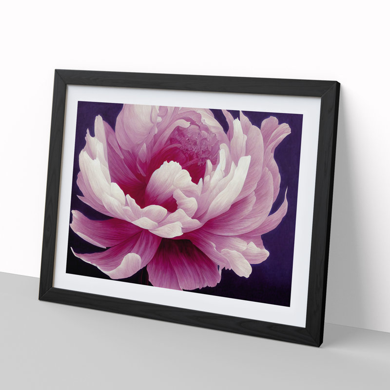 Impressive Peony Flower - Single Picture Frame Print, Black, 46cm H x 64cm W x 2cm D