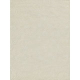 Entro Handmade New Zealand Wool Cream/Ivory Area Rug