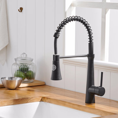 Robinet de cuisine avec douchette rétractable, robinet d'évier de cuisine à poignée simple