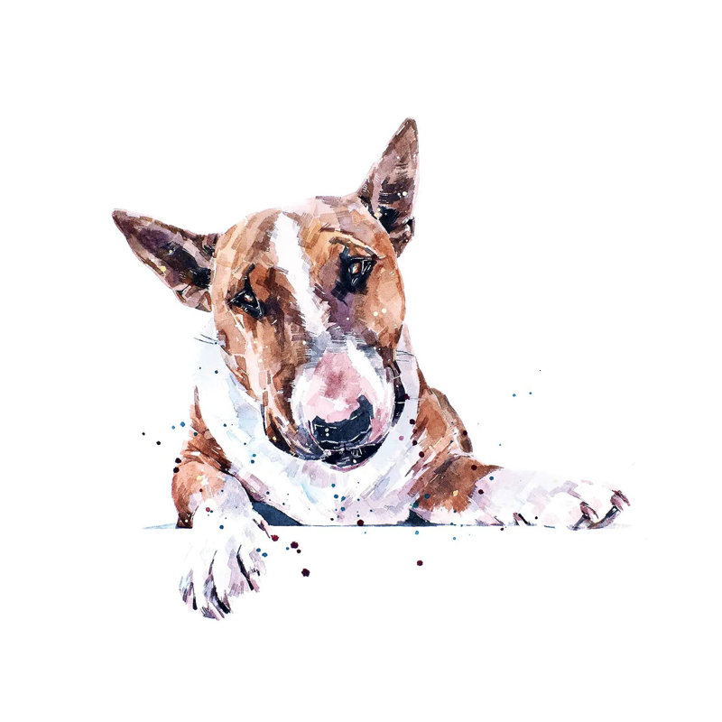 Bull Terrier - Wrapped Canvas Painting, 45.72 cm H x 45.72 cm W x 3.175 cm D