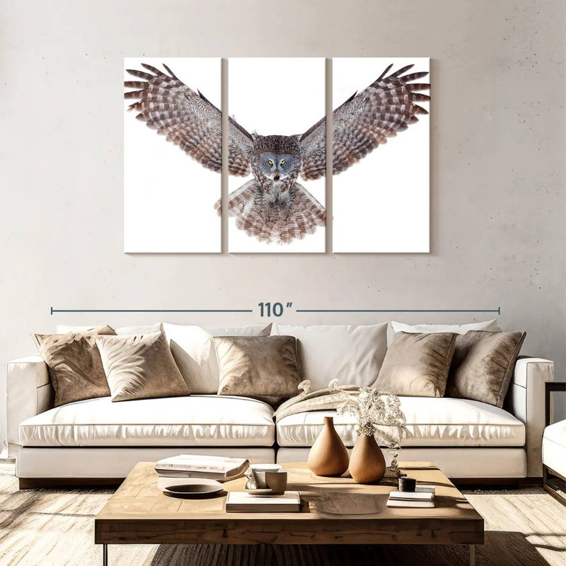 Brampt Owl Power, 48" H x 74" W