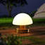 Lampe de bureau 5,75 po Varena-1468561319