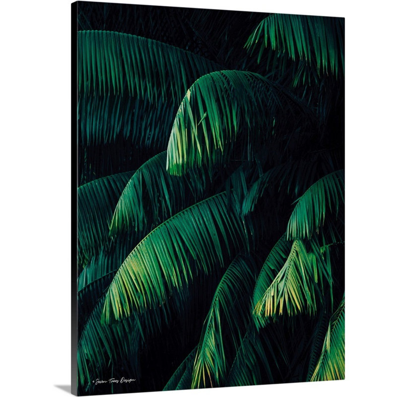 " Palm Leaves ", Wrapped Canvas, 24" H x 18" W x 1.25" D