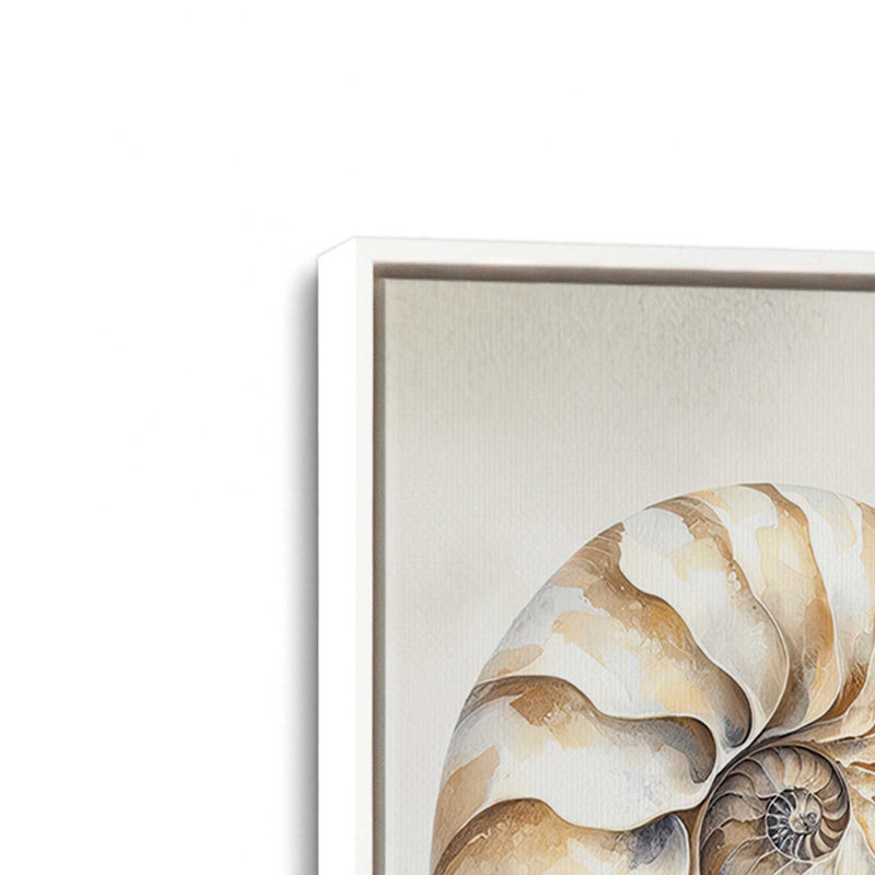 «Cape Cod Shores Seashells» par Nicole DeCamp, reproduction d'art, L 24 po x H 32 po, Toile avec cadre, Blanc