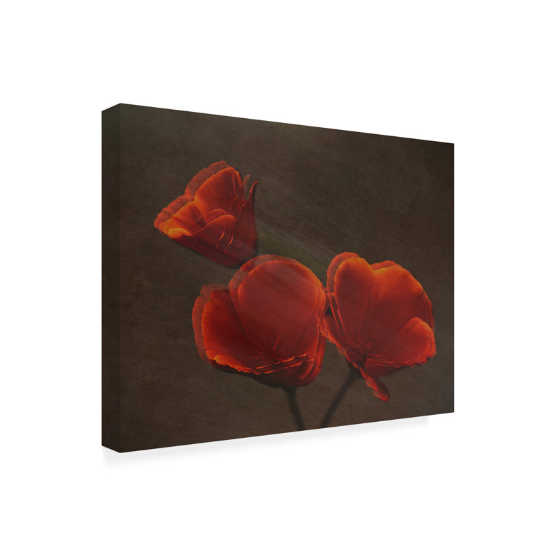 Art sur toile Coquelicots Jay Marik, H 35 po x l 47 po