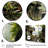 " Vietnamese Green Railway Tracks I "-1530601340-1530601342
