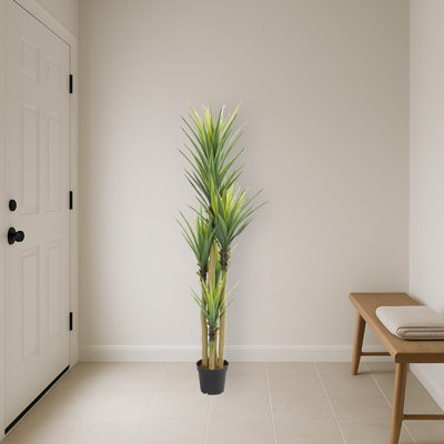 Dracaena Artificial Plant