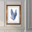 « algues under water iv »-cadre photo imprimé sur verre-302776084-302776093