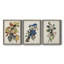Pl 107 Canada Jay - ensemble de 3 peintures sur toile encadrées-768052229-768052226