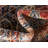 Vern Oriental Area Rug-1809158307-1847117463