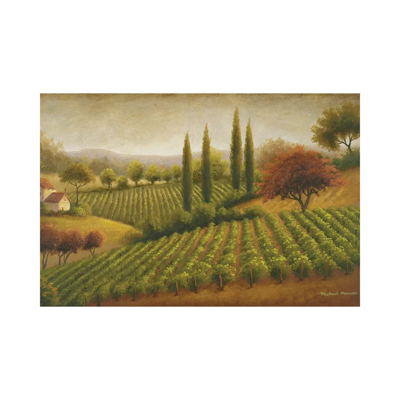 Vineyard In The Sun by Michael Marcon - Wrapped Canvas Gallery-Wrapped Canvas Giclée, 20.32cm H x 30.48cm W