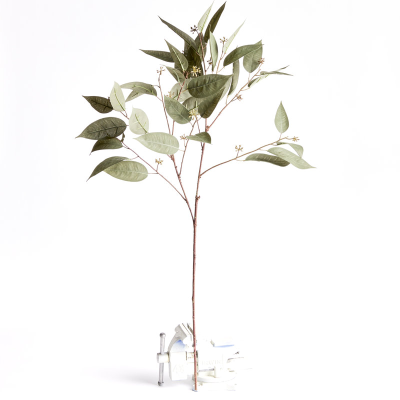 41-Inch Eucalyptus Seed Stem