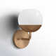 Avoca Single Light Glass Steel Dimmable Armed Sconce