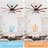 Modern 66 Inch Ceiling Fan With 6 Speed Wind 8 Blades Remote Control Reversible DC Motor With Light