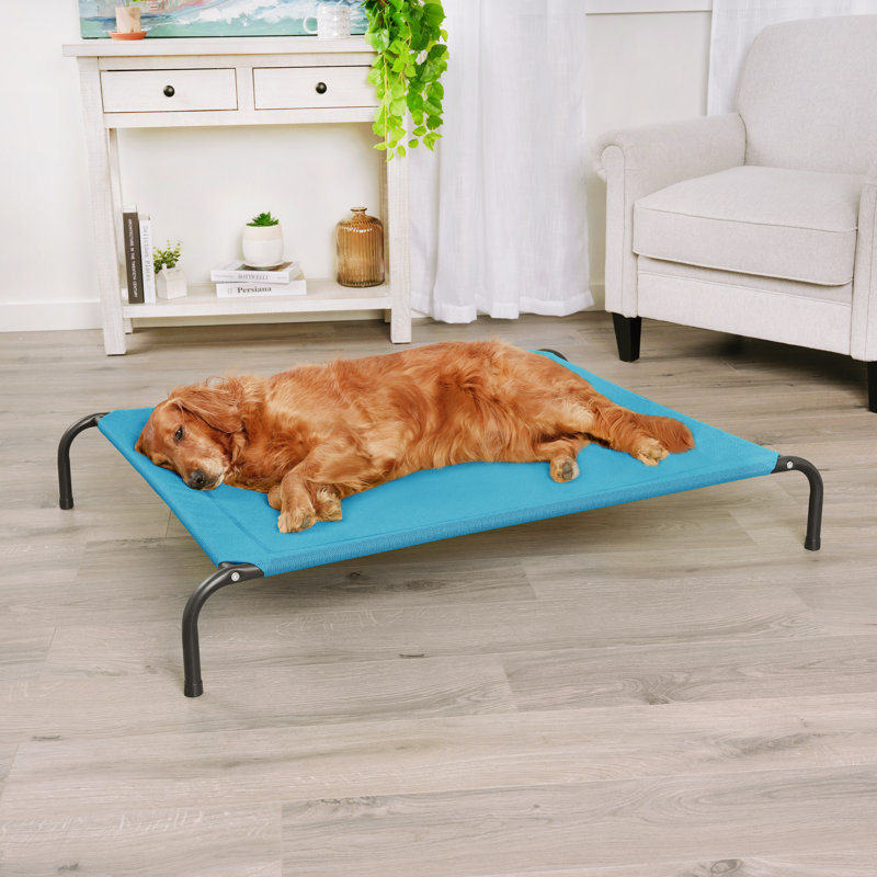 Elevated Cot Pet Bed, Blue, 8" H x 36" W x 49.5" D