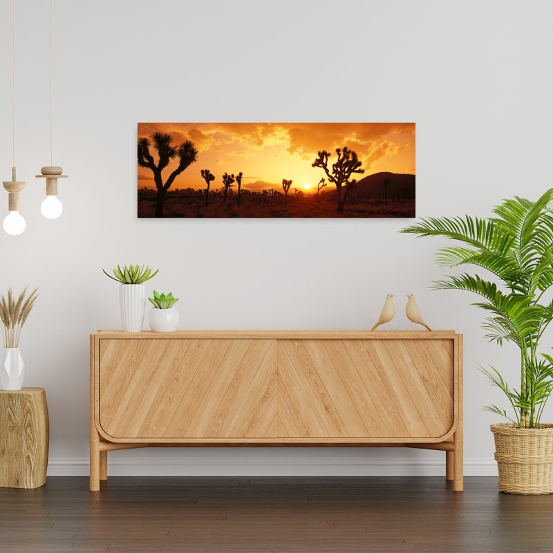 Coucher de soleil, Joshua Tree Park, Californie, abstrait coloré, paysage de cactus contemporain, art mural