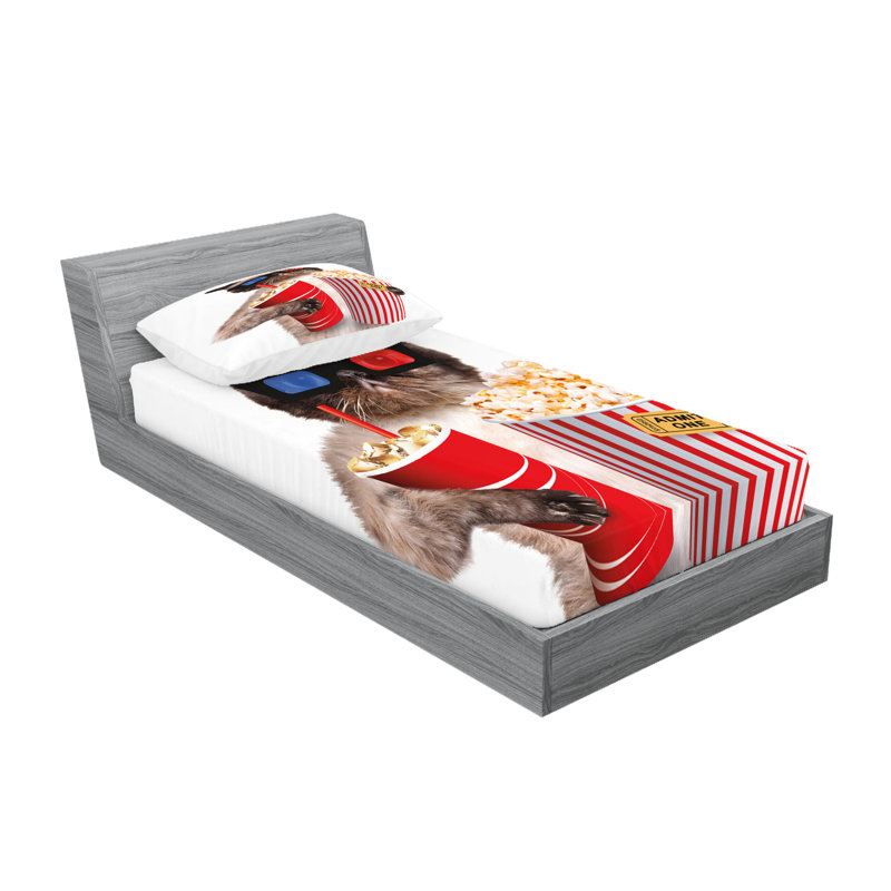 Multicolore drap-housse et taies décoratives Ambesonne, Ensemble de draps pour lit simple très long + 3 p